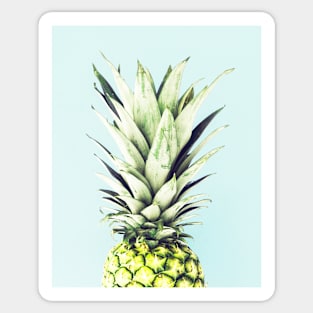 Pineapple on blue, Pineapple top, Minimal Sticker